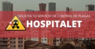 Empresas de control de plagas en Hospitalet